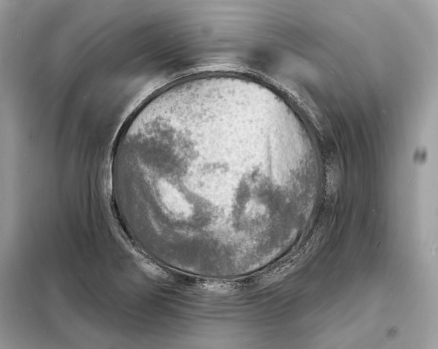 X0000098171274200805080952