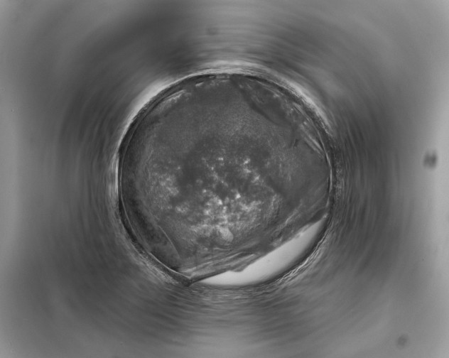 X0000098171275200805080952