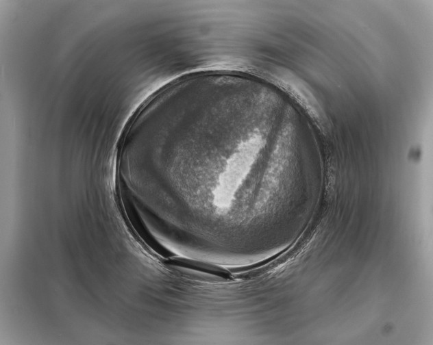 X0000098171276200805080952