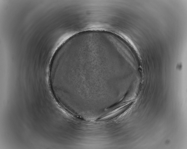 X0000098171277200805080952