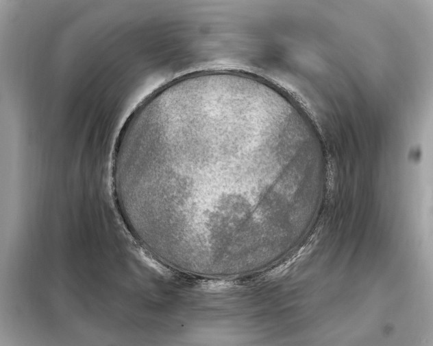 X0000098171278200805080952