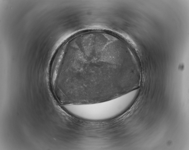 X0000098171279200805080952