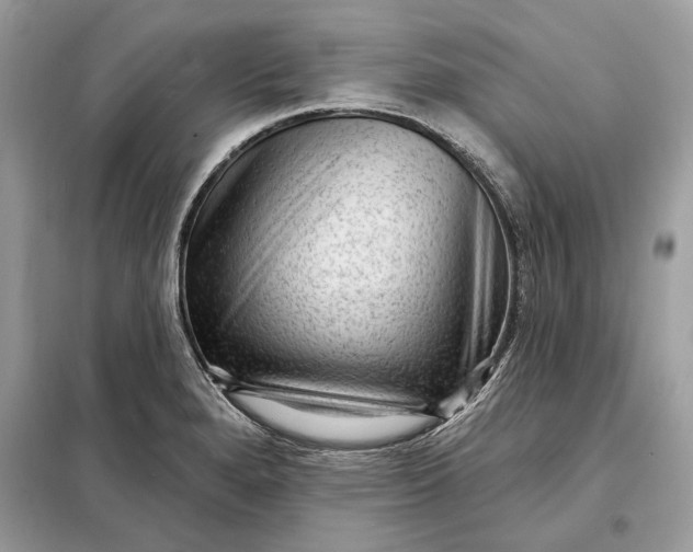 X0000098171280200805080952