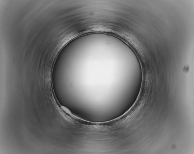 X0000098171281200805080952