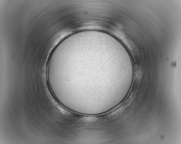 X0000098171282200805080952