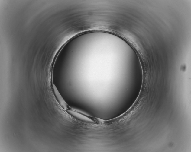 X0000098171284200805080952