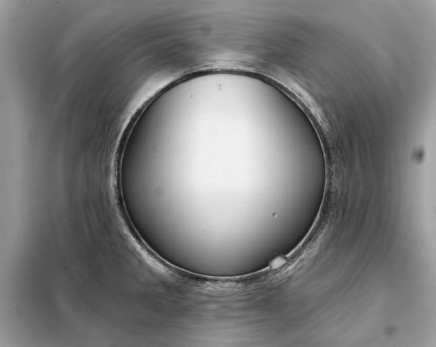 X0000098171285200805080952