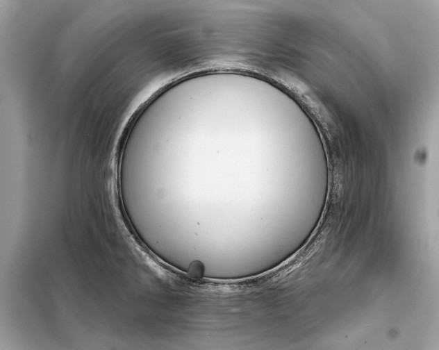 X0000098171286200805080952