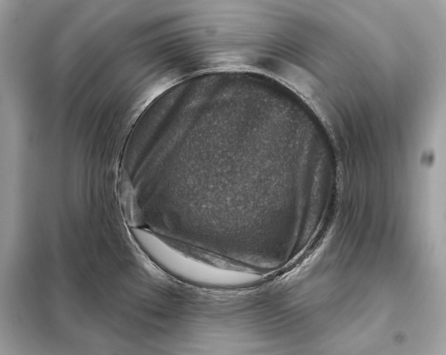 X0000098171289200805080952