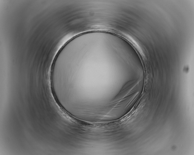 X0000098171291200805080952