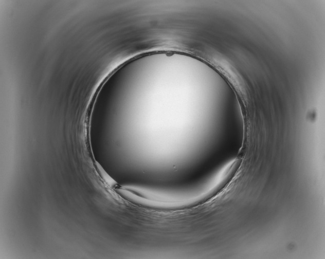 X0000098171292200805080952