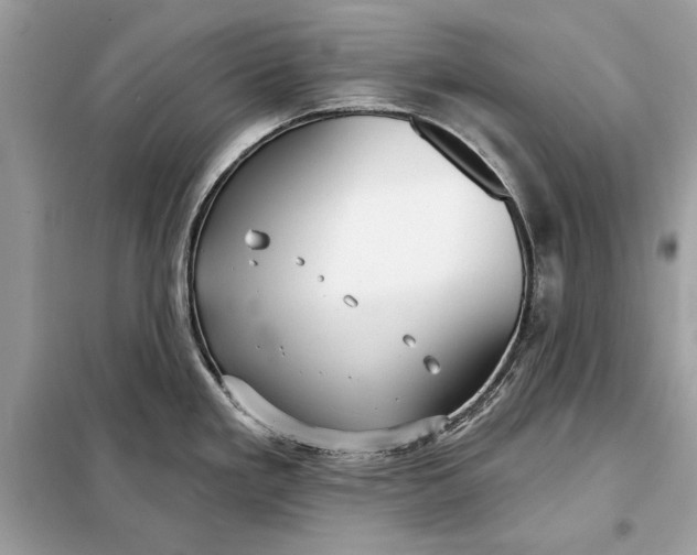 X0000098171293200805080952