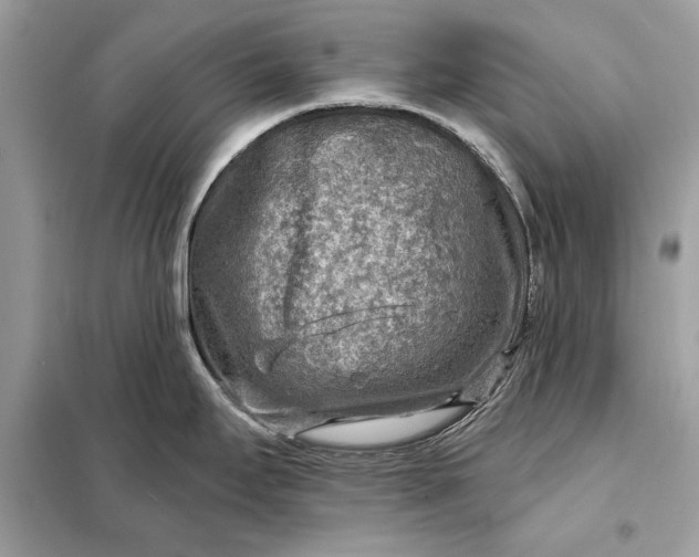 X0000098171295200805080952