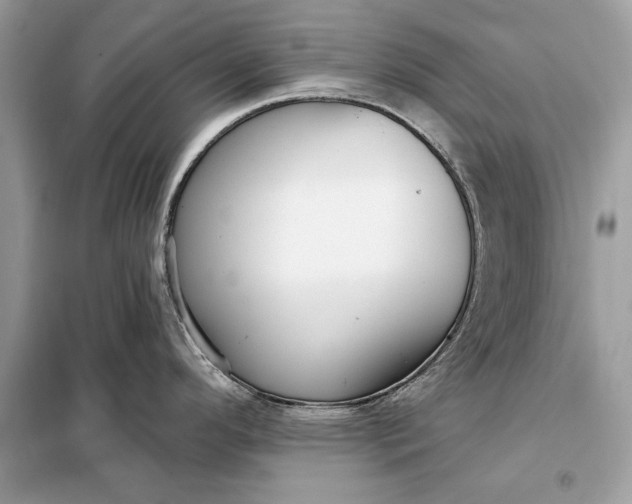 X0000098171296200805080952