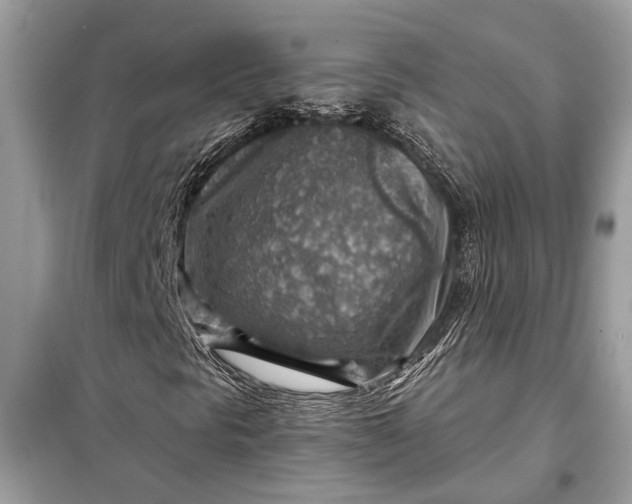 X0000098171297200805080951