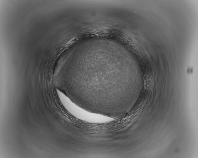 X0000098171298200805080951