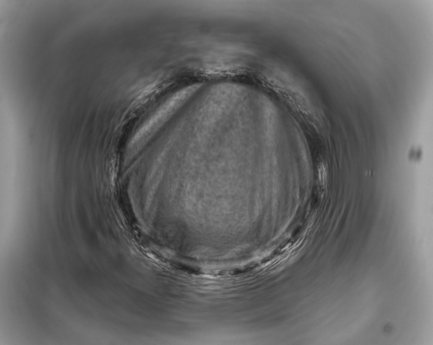 X0000098171300200805080951