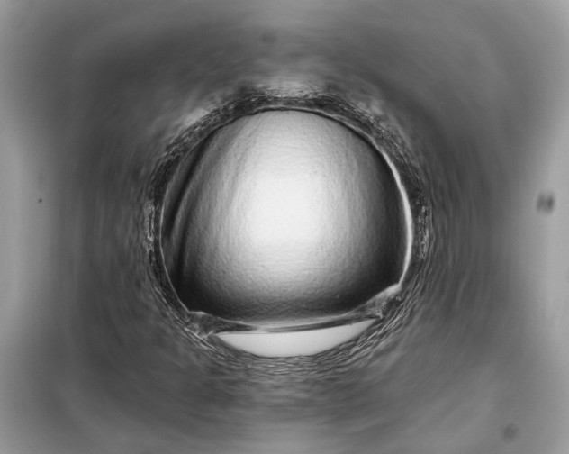 X0000098171301200805080951