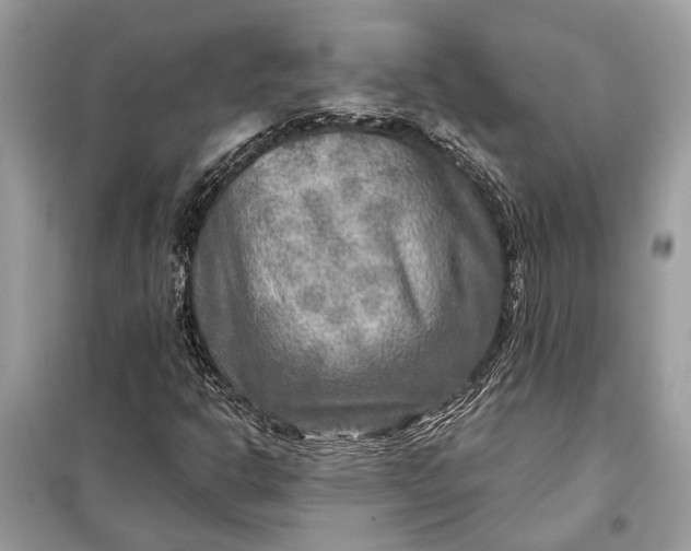 X0000098171302200805080951