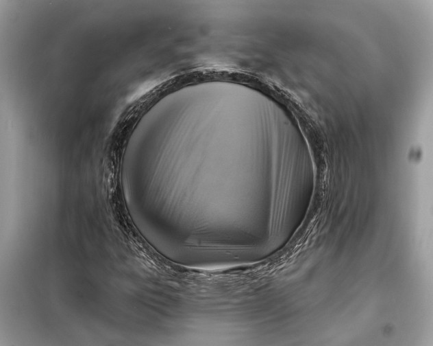 X0000098171303200805080951