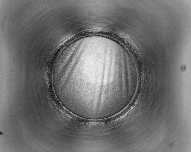 X0000098171305200805080951