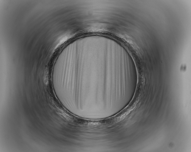 X0000098171306200805080951