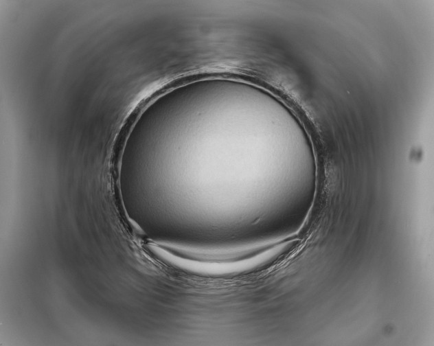 X0000098171308200805080951