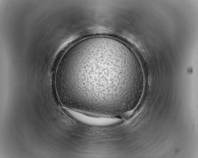 X0000098171309200805080951