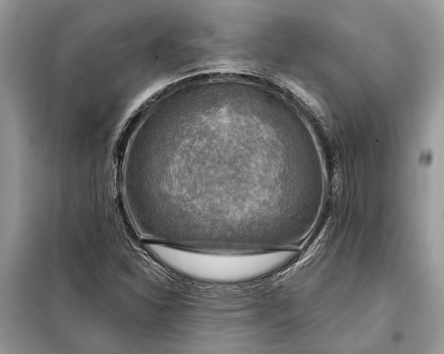 X0000098171310200805080951