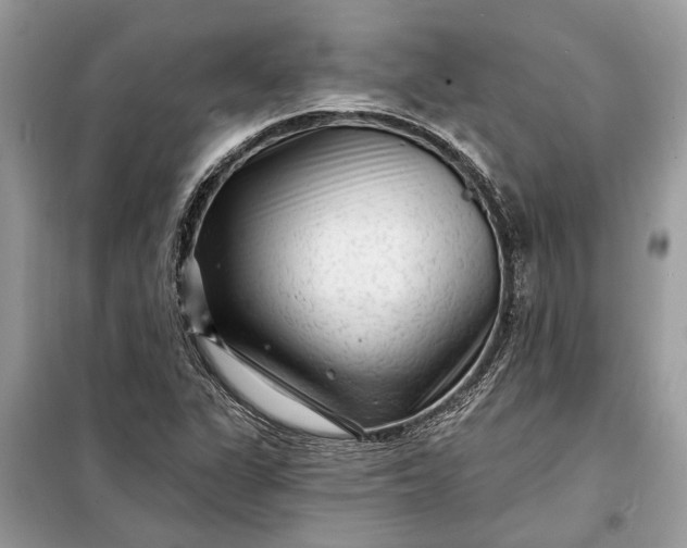 X0000098171311200805080952