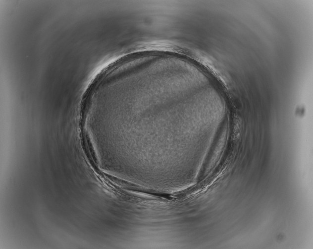 X0000098171312200805080952