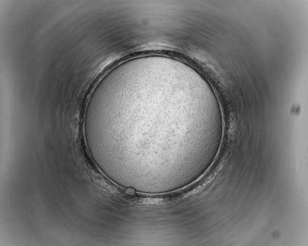 X0000098171313200805080952