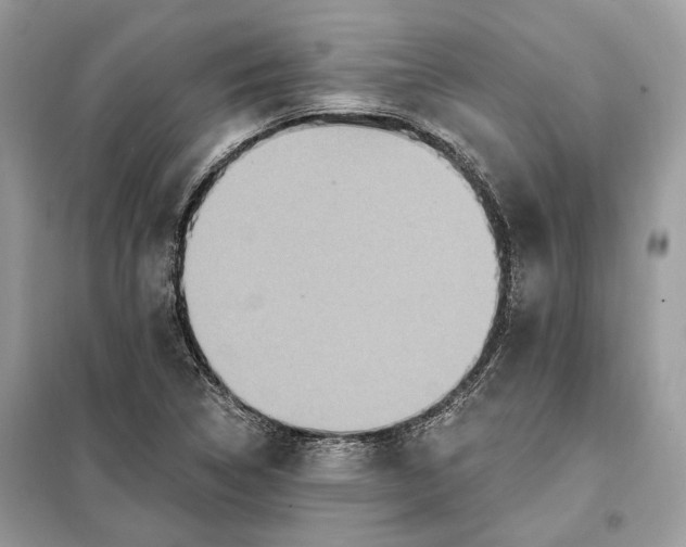 X0000098171314200805080952