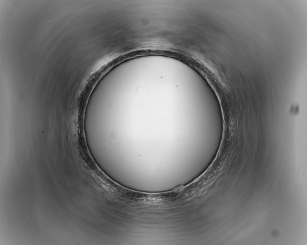 X0000098171315200805080952