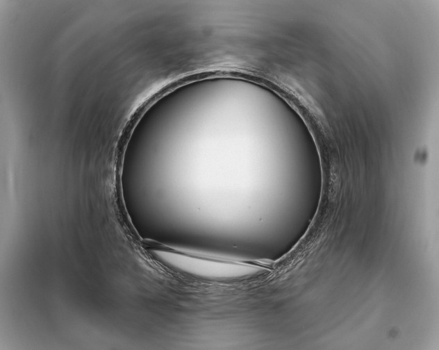 X0000098171316200805080952