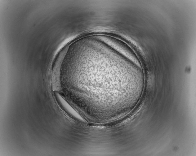 X0000098171317200805080952