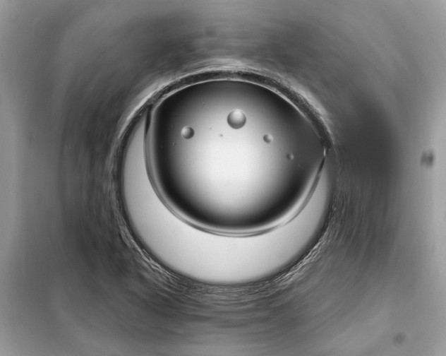 X0000098171318200805080952