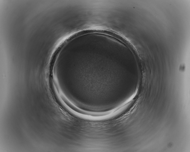 X0000098171319200805080952