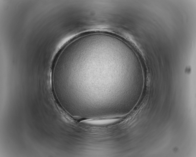 X0000098171320200805080952