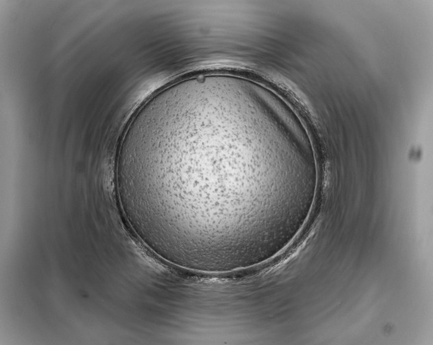 X0000098171321200805080952