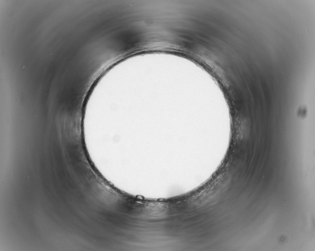 X0000098171322200805080952