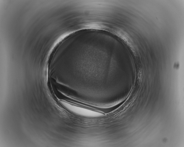 X0000098171323200805080952