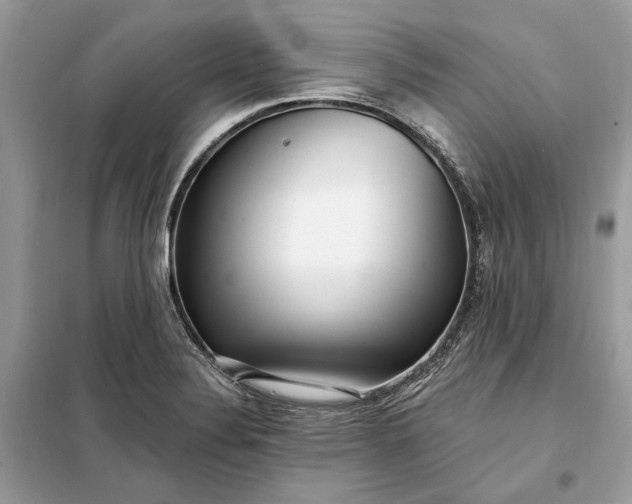 X0000098171324200805080952