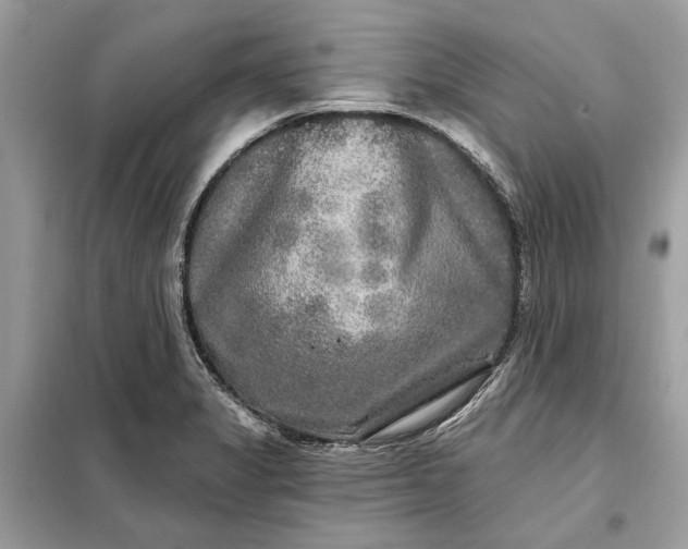 X0000098171325200805080952