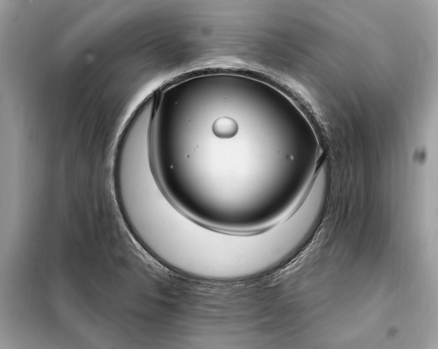 X0000098171326200805080952