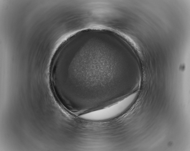 X0000098171327200805080952