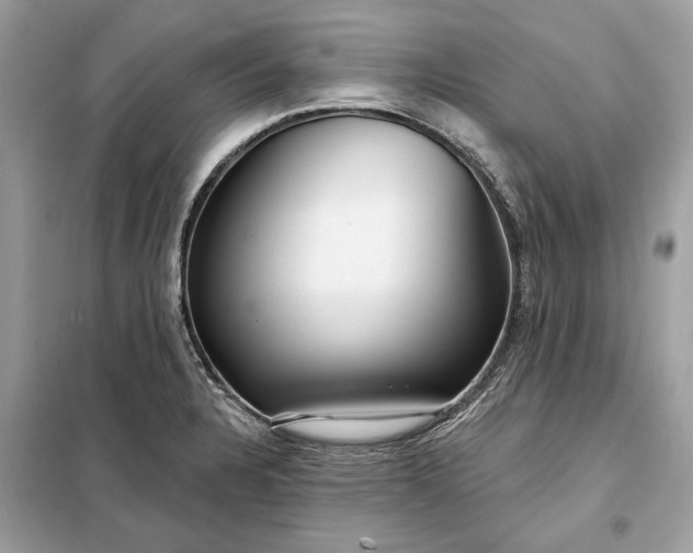 X0000098171328200805080952