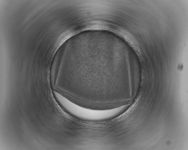 X0000098171329200805080952