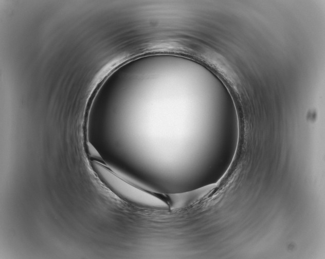 X0000098171330200805080952