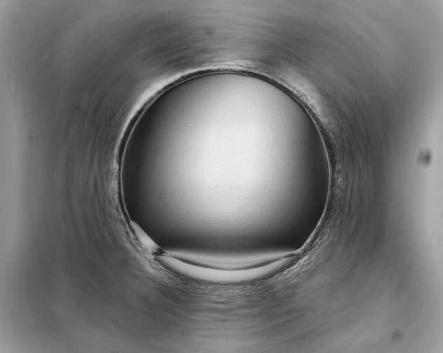 X0000098171332200805080952